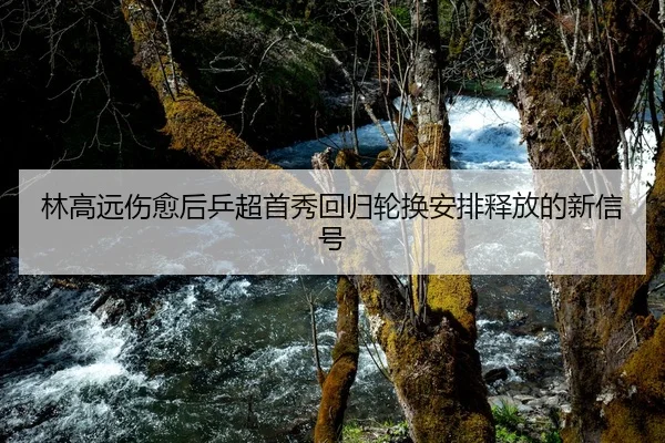 林高远伤愈后乒超首秀回归轮换安排释放的新信号